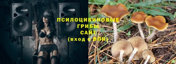 спиды Алексеевка